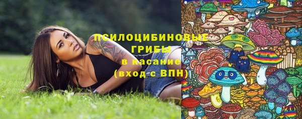 дурь Абаза