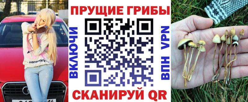 дарнет шоп  Мегион  Галлюциногенные грибы Psilocybe 