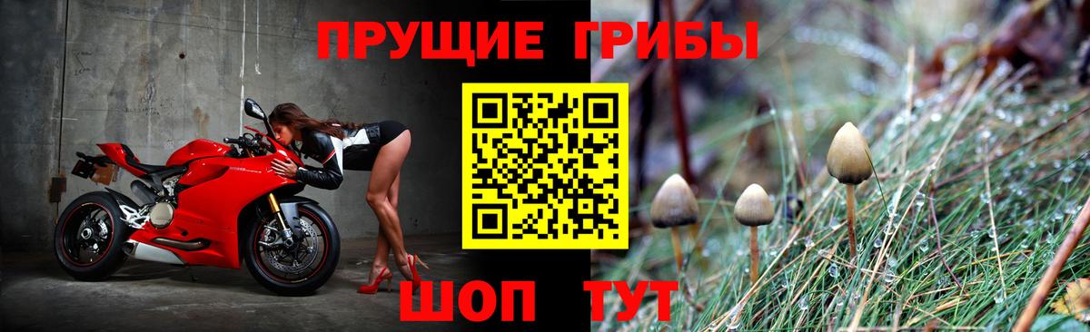 Псилоцибиновые грибы Psilocybine cubensis Мегион